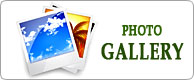  Photo Gallery ::..